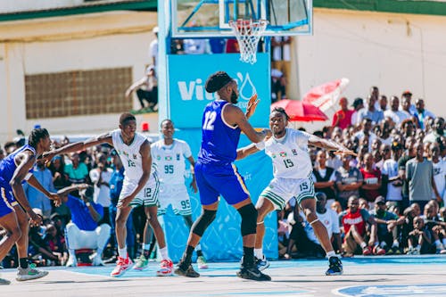 蕾薯